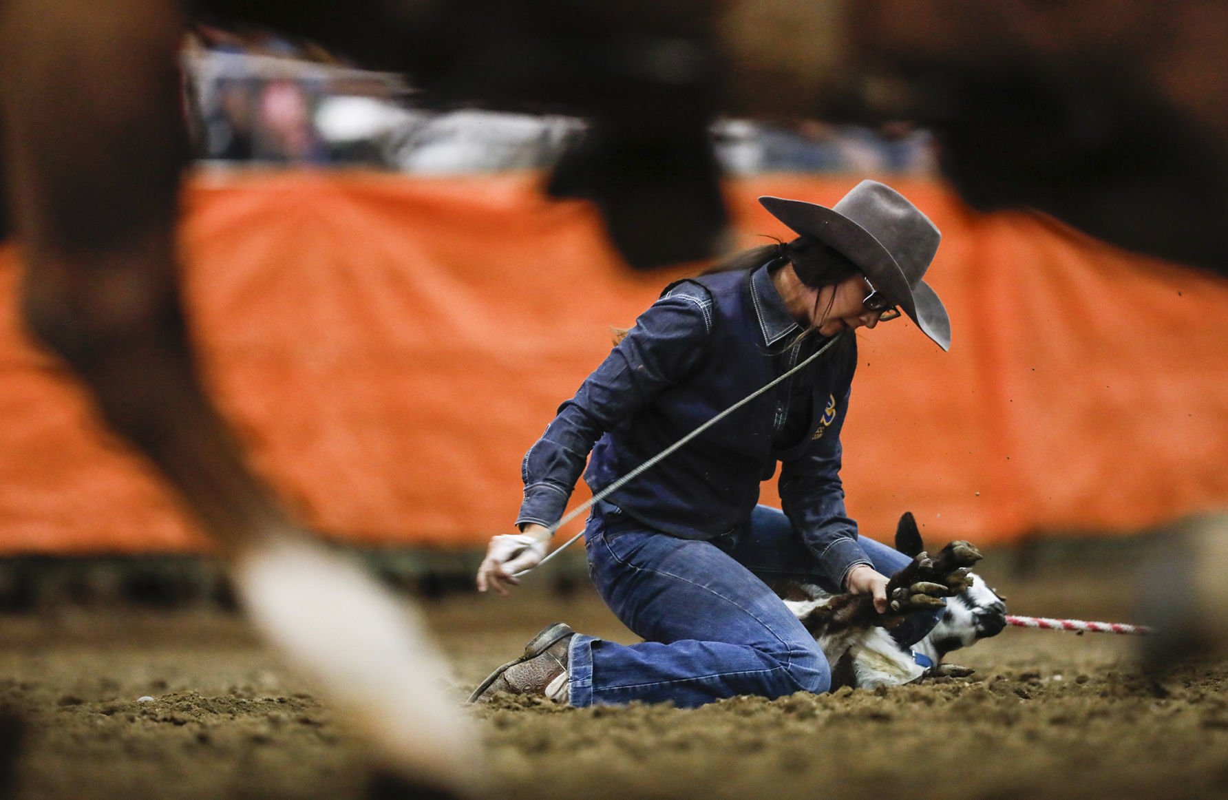 Ropin' and Riggin' Days